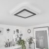 Wawo Ceiling Light LED white, 1-light source, Remote control