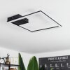 Taleta Ceiling Light LED black, 1-light source