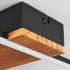 Courceaux Ceiling Light LED Ecru, black, 1-light source