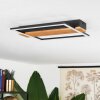 Courceaux Ceiling Light LED Ecru, black, 1-light source