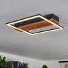 Courceaux Ceiling Light LED Ecru, black, 1-light source