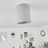 Stettler Ceiling Light grey, 1-light source