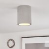 Stettler Ceiling Light grey, 1-light source