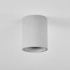 Stettler Ceiling Light grey, 1-light source