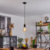 Brenier Pendant Light Dark wood, black, 1-light source