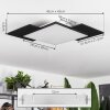 Barullu Ceiling Light LED Light wood, black, white, 1-light source