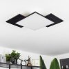 Barullu Ceiling Light LED Light wood, black, white, 1-light source