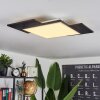 Barullu Ceiling Light LED Light wood, black, white, 1-light source