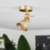Salinas Ceiling Light brass, 1-light source