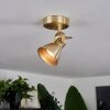 Salinas Ceiling Light brass, 1-light source