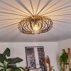 Oravi Ceiling Light black-gold, 1-light source