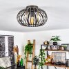 Oravi Ceiling Light black-gold, 1-light source