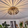 Oravi Ceiling Light black-gold, 1-light source