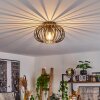 Oravi Ceiling Light black-gold, 1-light source