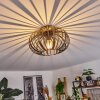 Oravi Ceiling Light black-gold, 1-light source