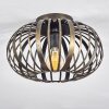 Oravi Ceiling Light black-gold, 1-light source