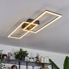 Hyacinthe Ceiling Light LED black, 1-light source, Remote control