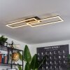 Hyacinthe Ceiling Light LED black, 1-light source, Remote control