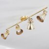 Salinas Ceiling Light LED brass, 4-light sources