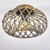 Oravi Ceiling Light Antique, gold, 1-light source