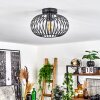 Oravi Ceiling Light black, 1-light source
