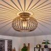 Oravi Ceiling Light Antique, gold, 1-light source