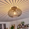 Oravi Ceiling Light Antique, gold, 1-light source