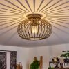 Oravi Ceiling Light Antique, gold, 1-light source