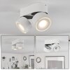 Laonsana Ceiling Light LED black, white, 2-light sources