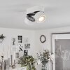 Laonsana Ceiling Light LED black, white, 2-light sources
