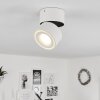 Laonsana Ceiling Light LED black, white, 1-light source
