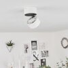 Laonsana Ceiling Light LED black, white, 1-light source