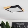 Pontchardon Ceiling Light LED Ecru, black, 1-light source
