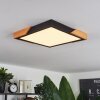 Pontchardon Ceiling Light LED Ecru, black, 1-light source