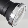 Lanrigan Ceiling Light LED chrome, black, 1-light source