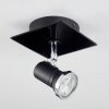 Lanrigan Ceiling Light LED chrome, black, 1-light source