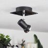 Lanrigan Ceiling Light LED chrome, black, 1-light source