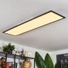 Wilderswil Ceiling Light LED white, 1-light source