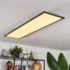 Wilderswil Ceiling Light LED white, 1-light source