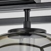 Verbania Ceiling Light black, 3-light sources