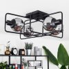 Agropoli Ceiling Light black, 4-light sources