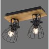 Leuchten-Direkt TARO Ceiling Light black, 2-light sources