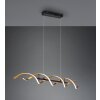 Trio Sequence Pendant Light LED brass, black, 1-light source
