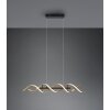 Trio Sequence Pendant Light LED brass, black, 1-light source
