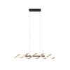 Trio Sequence Pendant Light LED brass, black, 1-light source