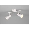 Trio Steam Ceiling Light Antique, white, 2-light sources