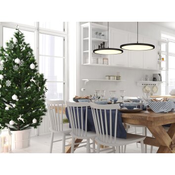 Trio Tray Pendant Light LED black, 1-light source