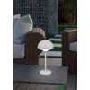 Reality Elliot Table lamp LED grey, 1-light source