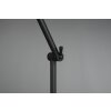 Reality Enzo Floor Lamp black, 1-light source