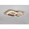 Trio Lugo Ceiling Light LED black-gold, 1-light source